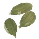 Pumpkin Seeds (250g)