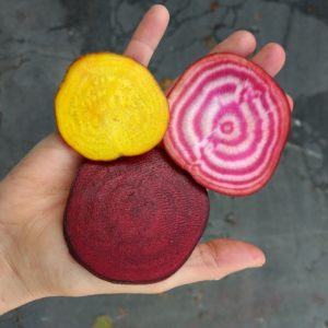 beetroot
